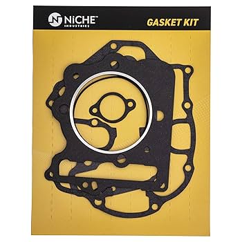 Amazon.com: NICHE 397cc Cylinder Piston Top End Kit for
